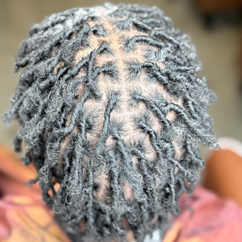 Traditional Starter Locs at Exclusive Enhancements LLC in Hammond, LA