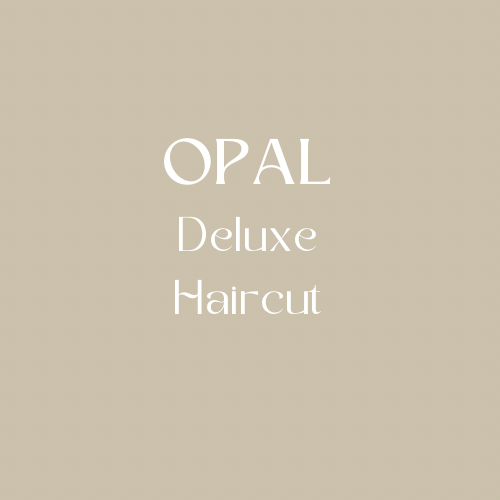 OPAL Deluxe Haircut