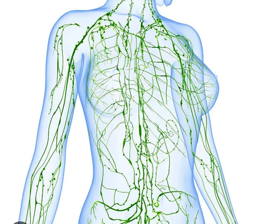 Post-Operative Lymphatic Drainage at The Recovery Room in Dallas, TX