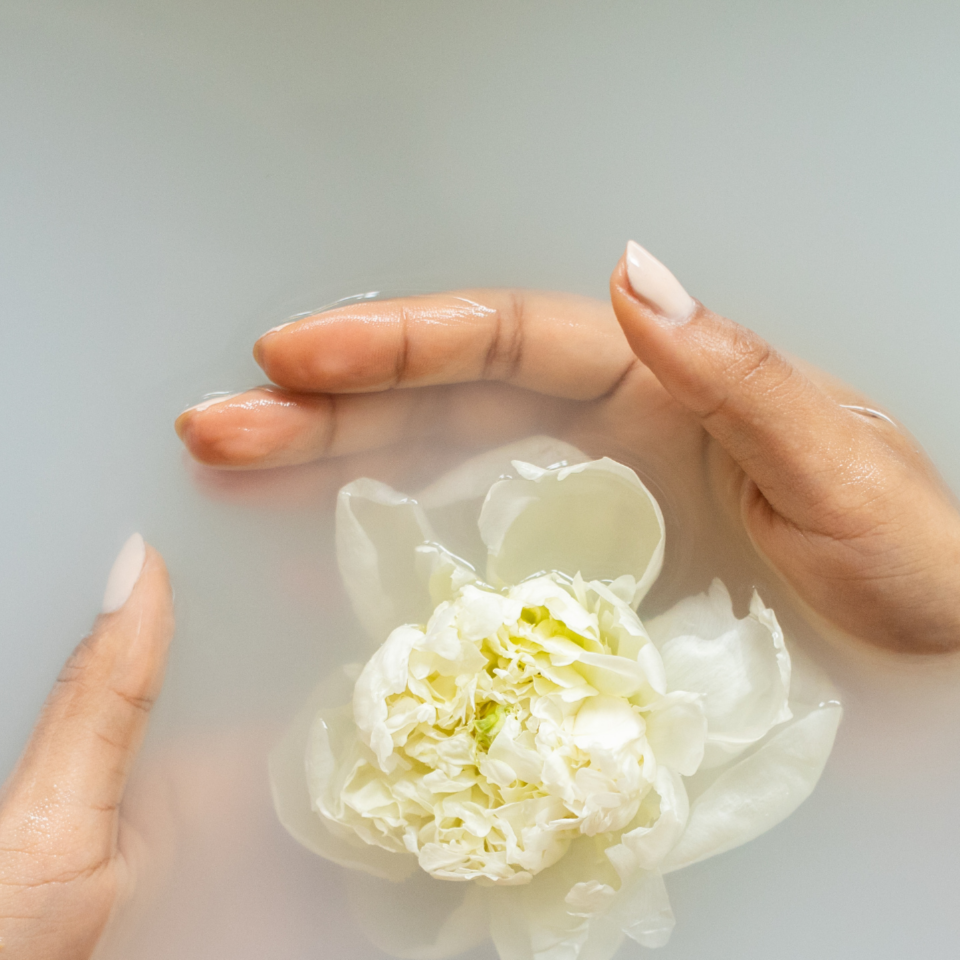 Complimentary Consultation