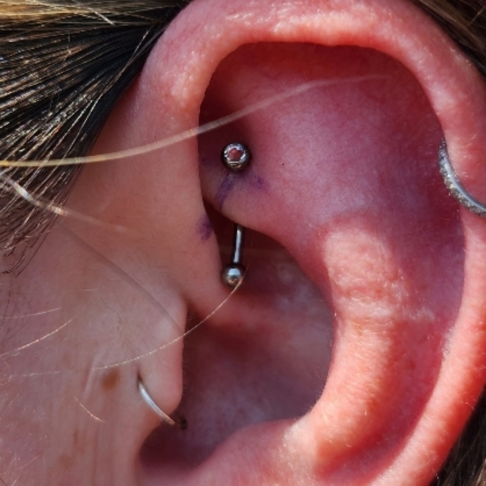Rook Piercing at Sagrado Salon and Skin in Richland, WA