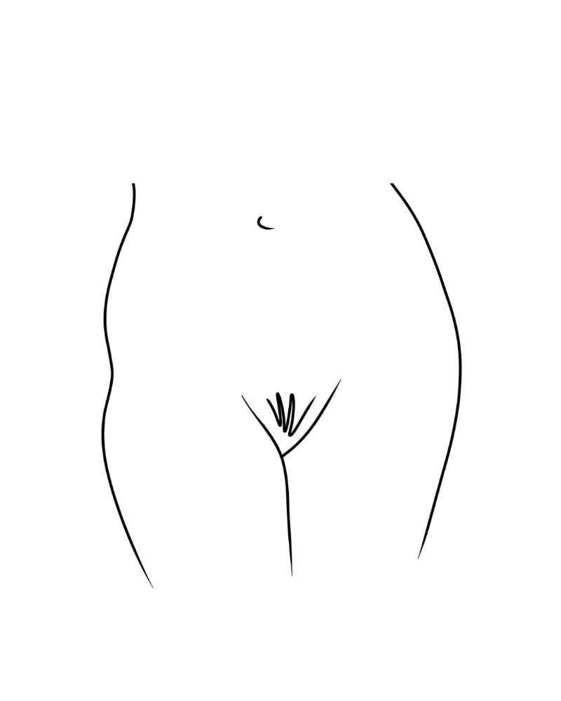 Full Frontal Wax