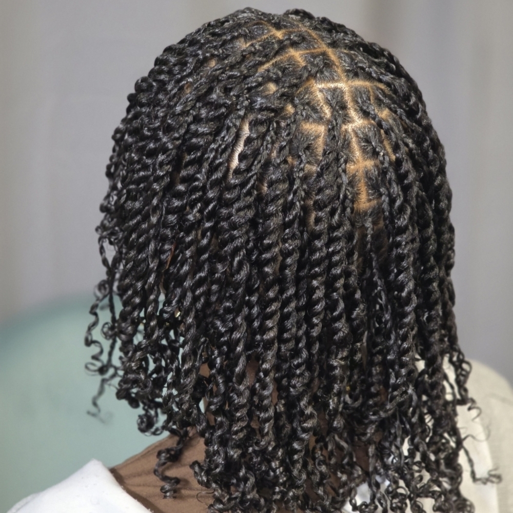 Natural Twists- No Weave at Happy,Healthy_Hairfidence in Henry County, VA