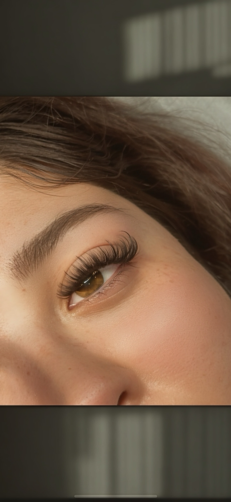 Lash Fills