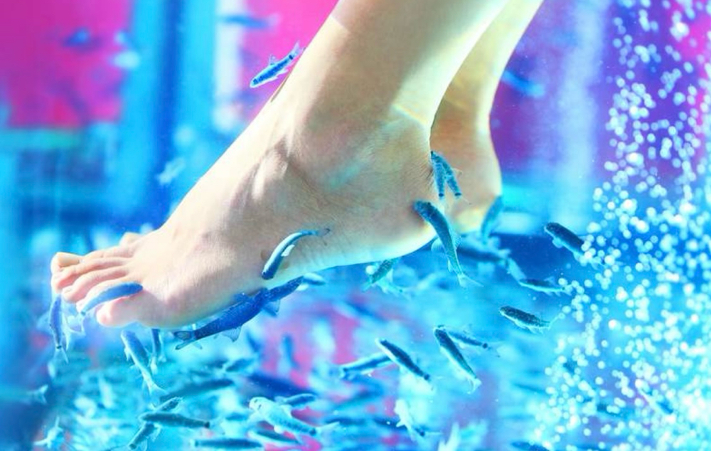 Fish Pedicure
