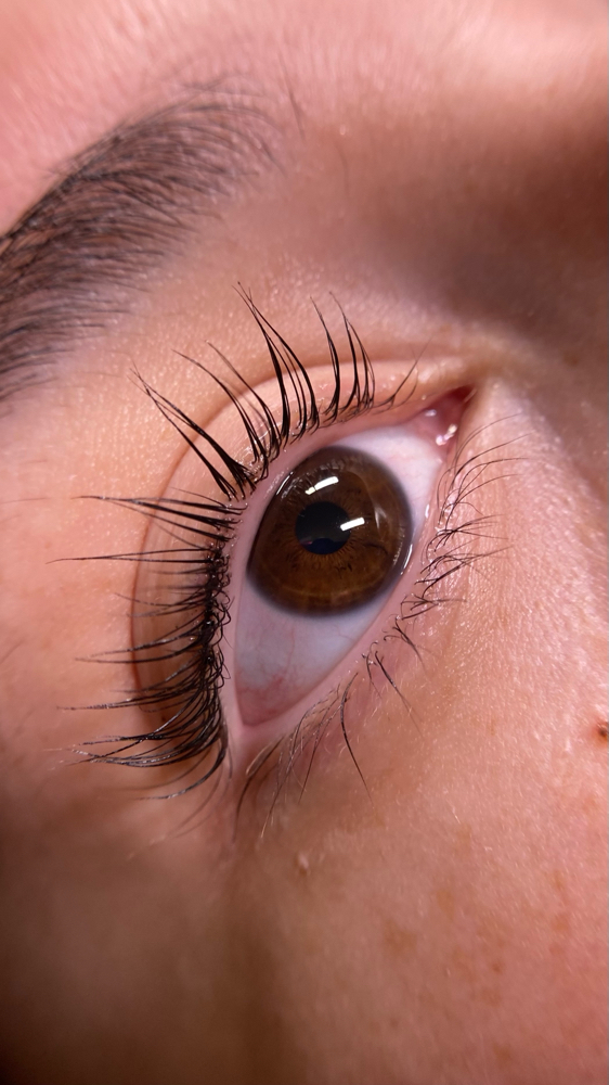 Lash Lift + Tint