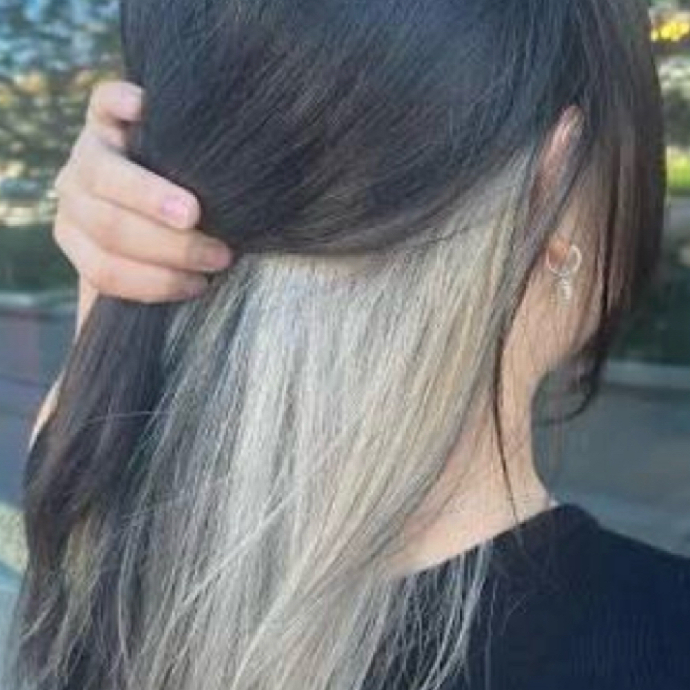 Solid Underneath Color at Beauties and Beasts Styles by Sereen in Green Bay, WI