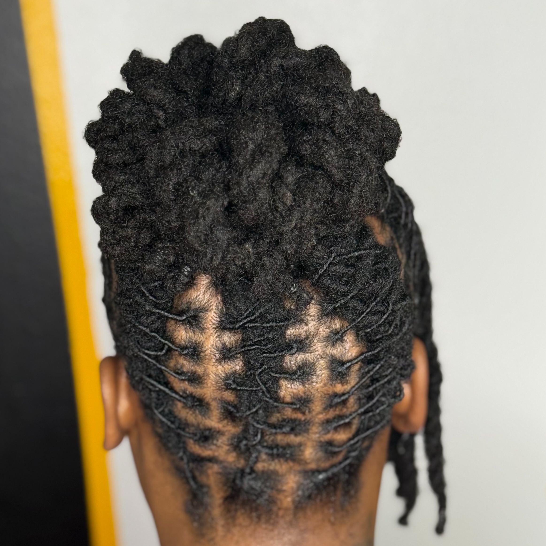 Loc Style Upgrade at HALOD BEAUTY HOUSE in Jackson, MS
