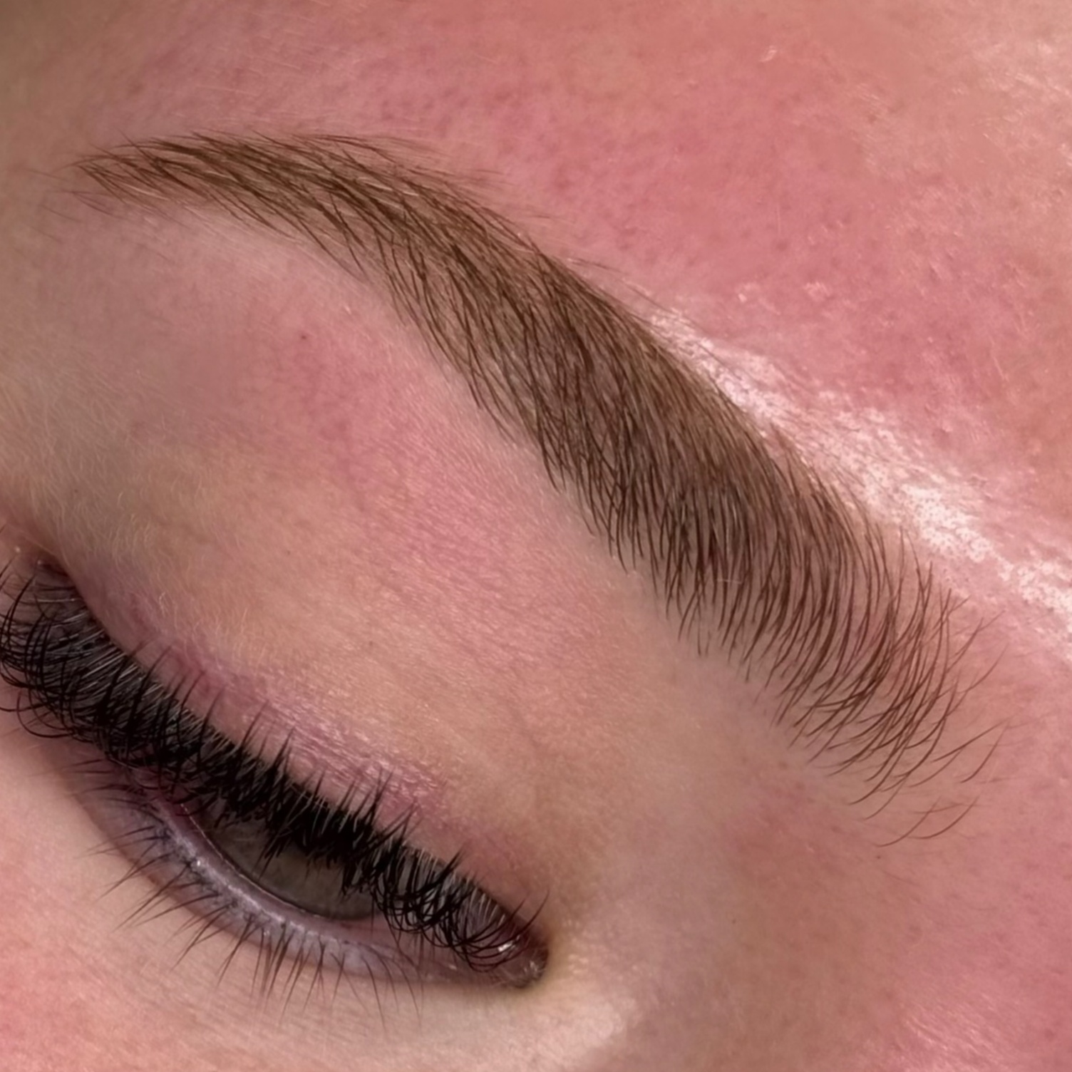 BROW SHAPING (ONLY) at lashluxenm in brooklyn, NY