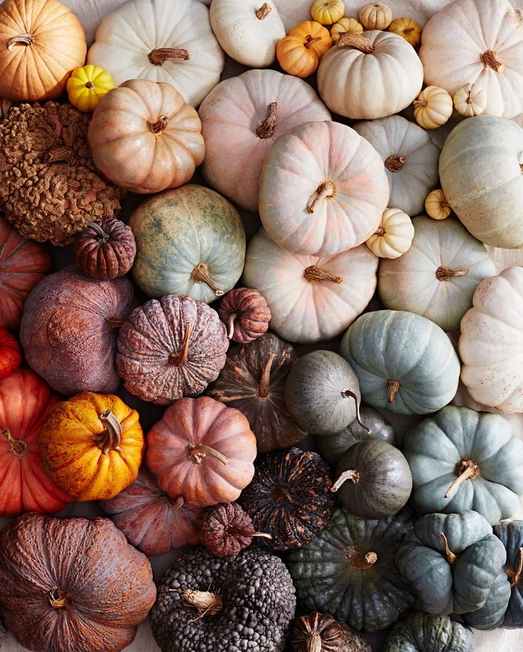 Pumpkin Mocha Facial (Seasonal)