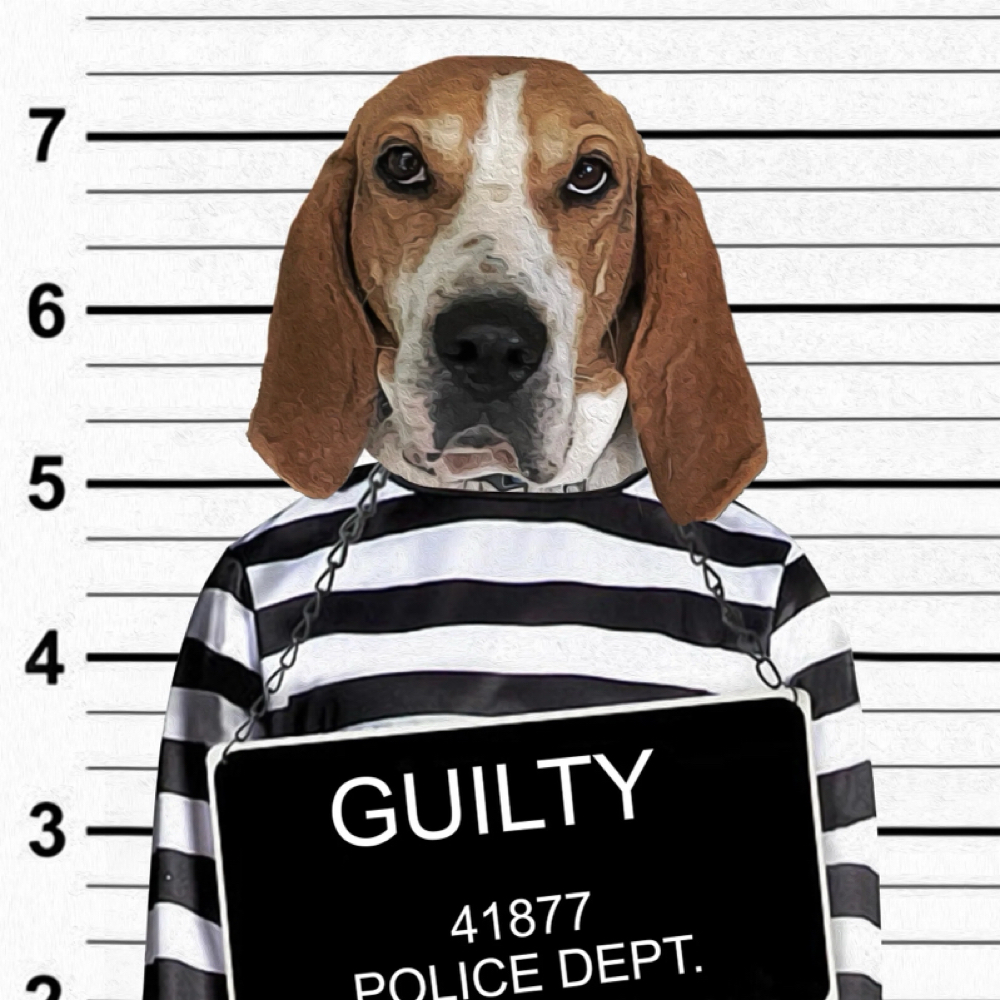 Behavioral Fee at Holypawzgrooming in Highland, CA