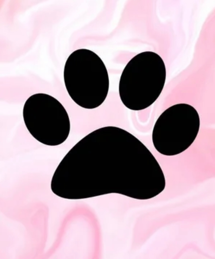 Groovy Pawdicure