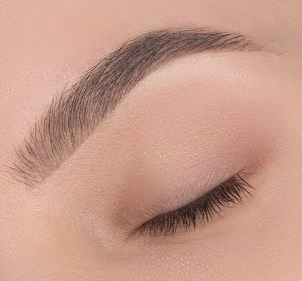 Brow Tint and Wax