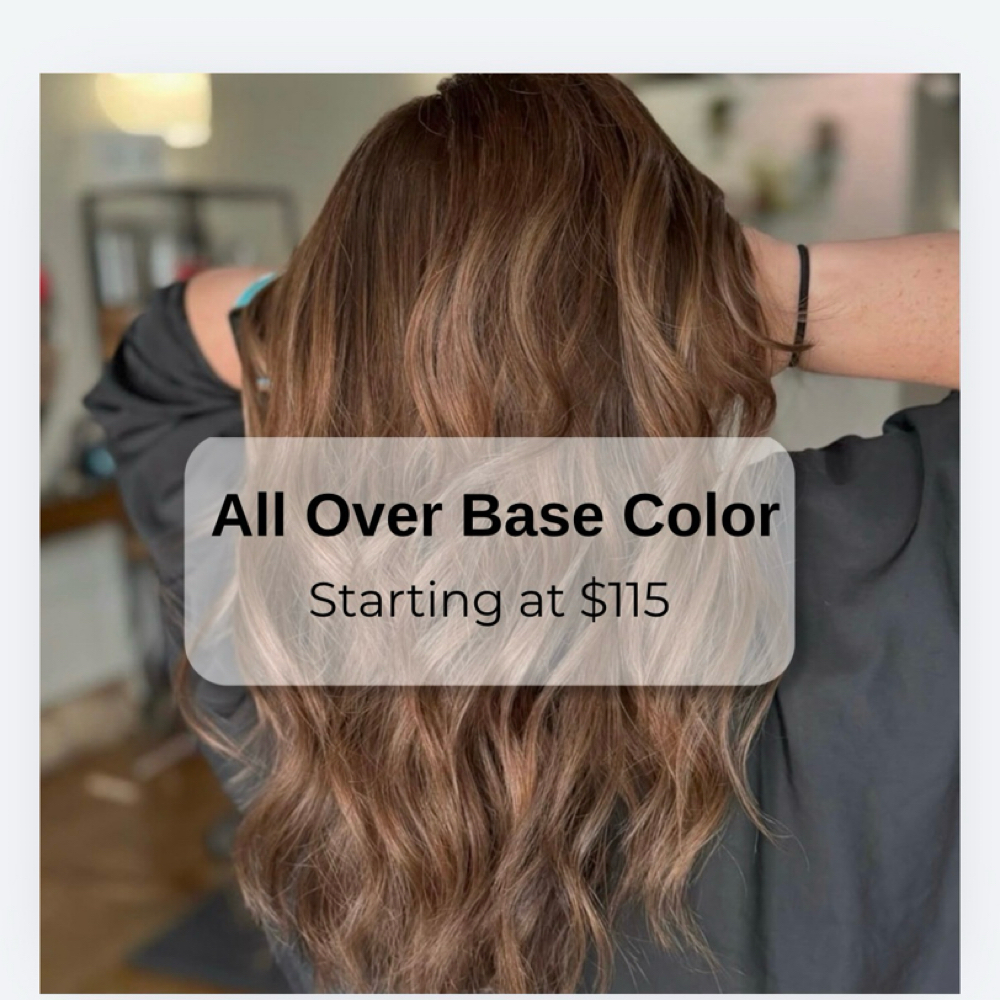 All Over Base Color at Magnolia Hair Studio in Starkville, MS