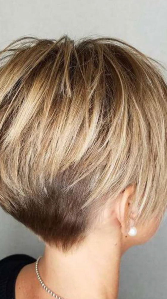 Shampoo And Style