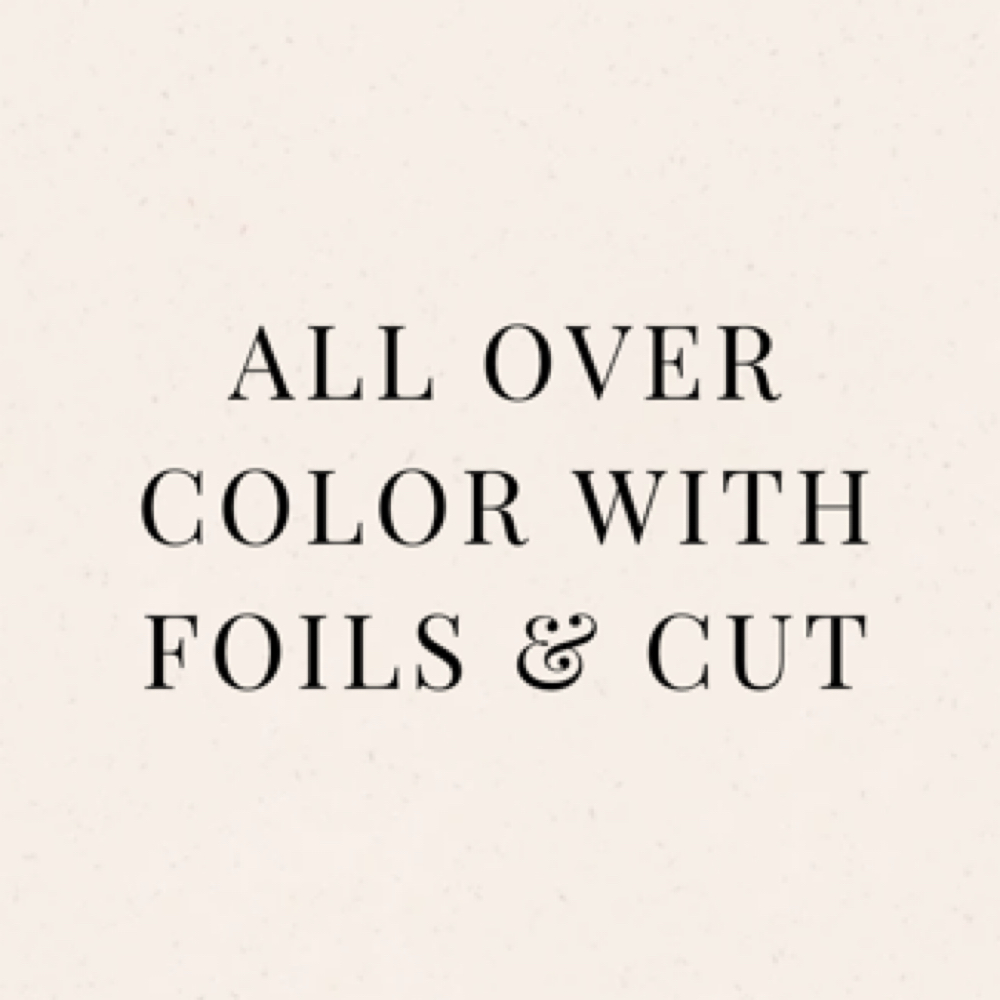 All Over Color, Foils, & Cut at Blank Canvas Hair in West Bend, WI