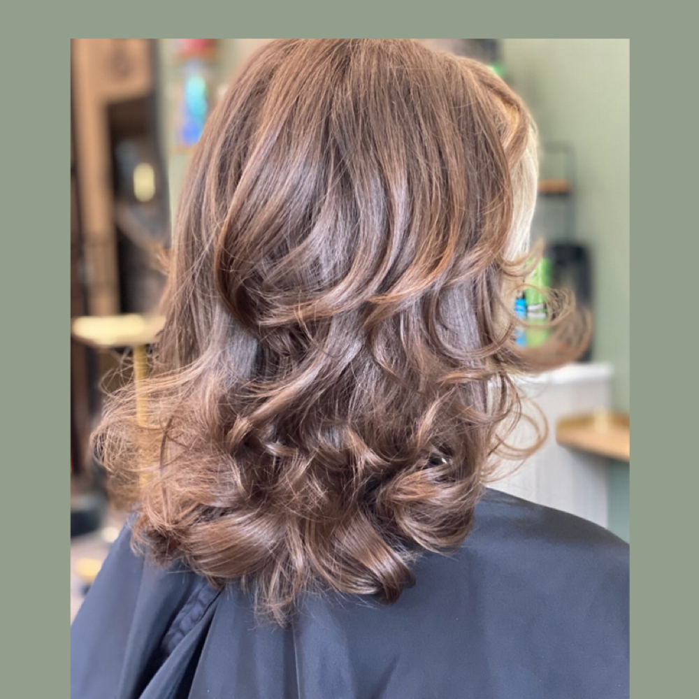 Signature Hair Cut at Vivid Beauty in Westminster, MD