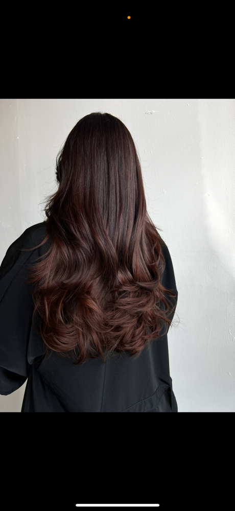 Root+Gloss or All Over Color