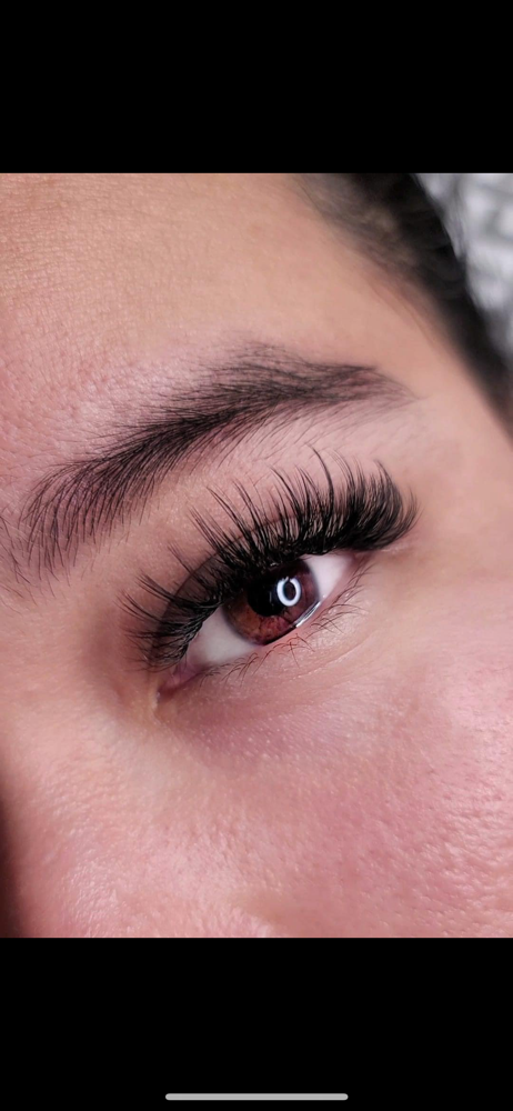 All Lash Sets
