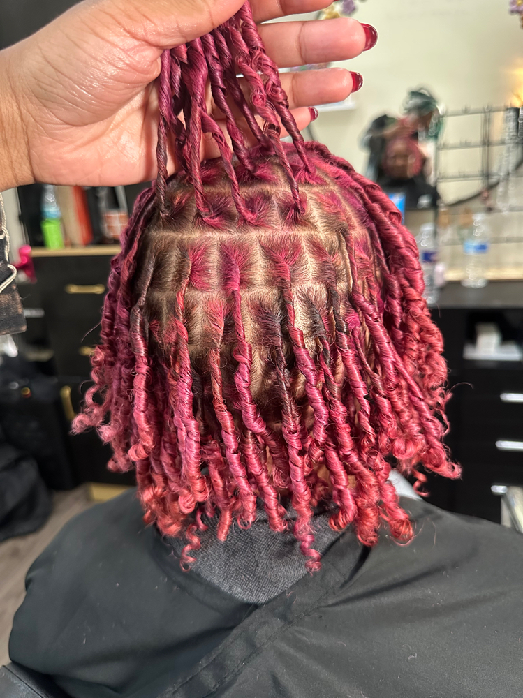 Starter Locs