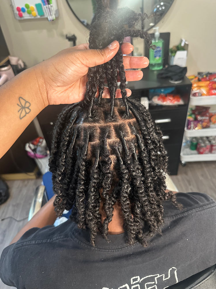 Starter Locs