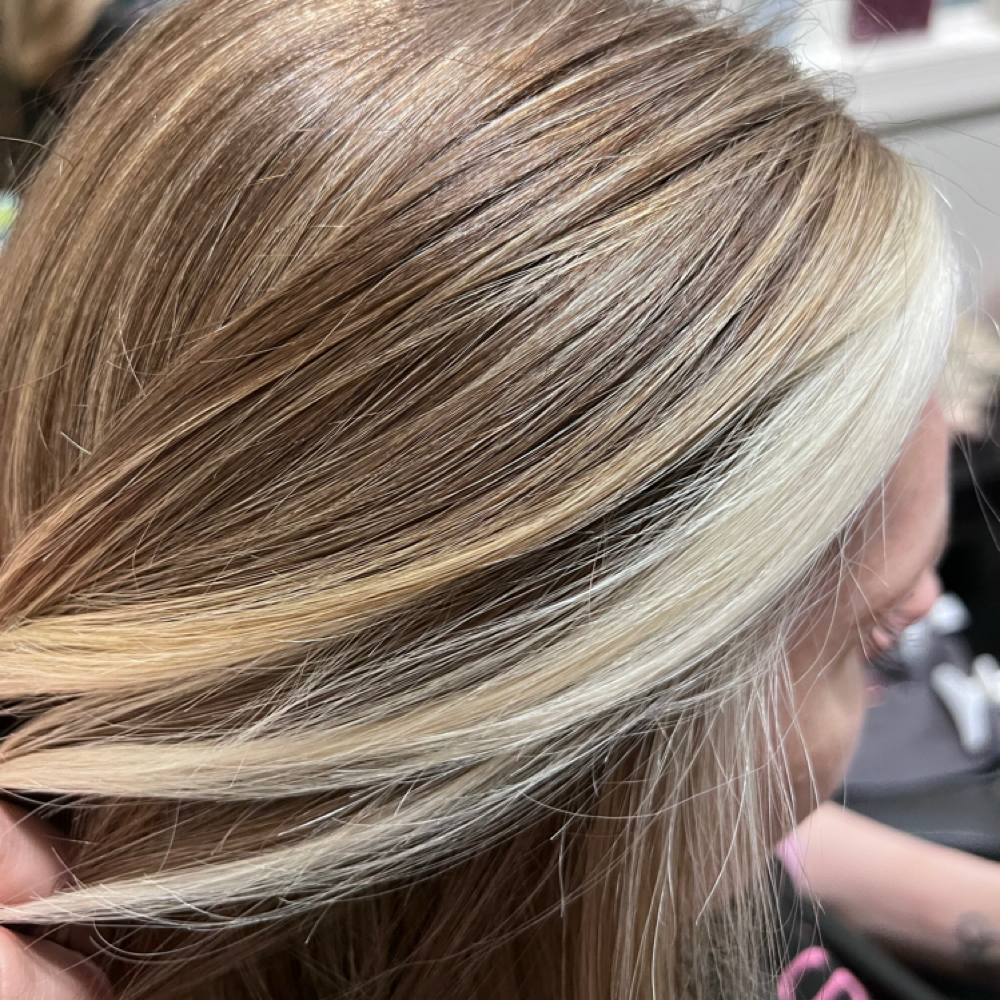 Mini Hair Color Transformation at Crowned By Rose in Raleigh, NC