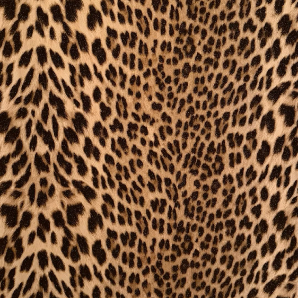 Gloss + Blowout at VLVT HAIR STUDIO in Santa Ana, CA