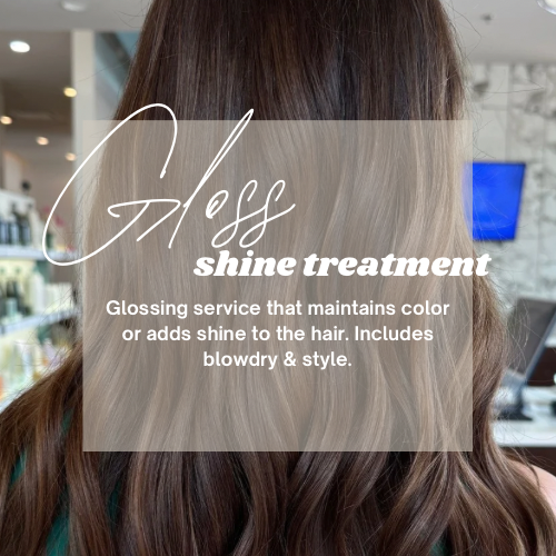 Color Gloss/Shine Treatment