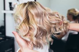 Dry Hair Cut W/Style