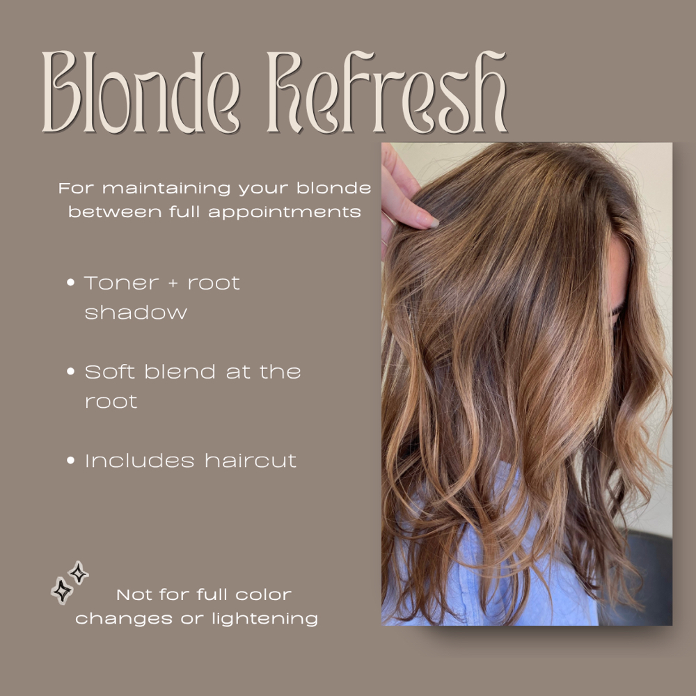 Blonde Refresh at Painted Hair Studio Salon in McDonough, GA