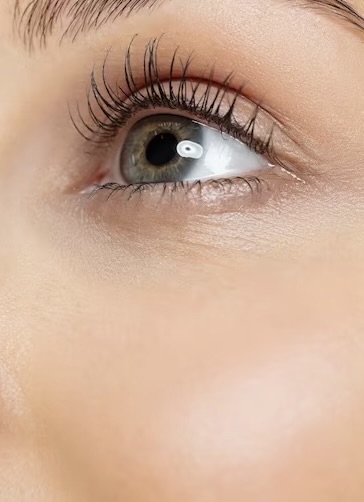 Lash Lift & Tint