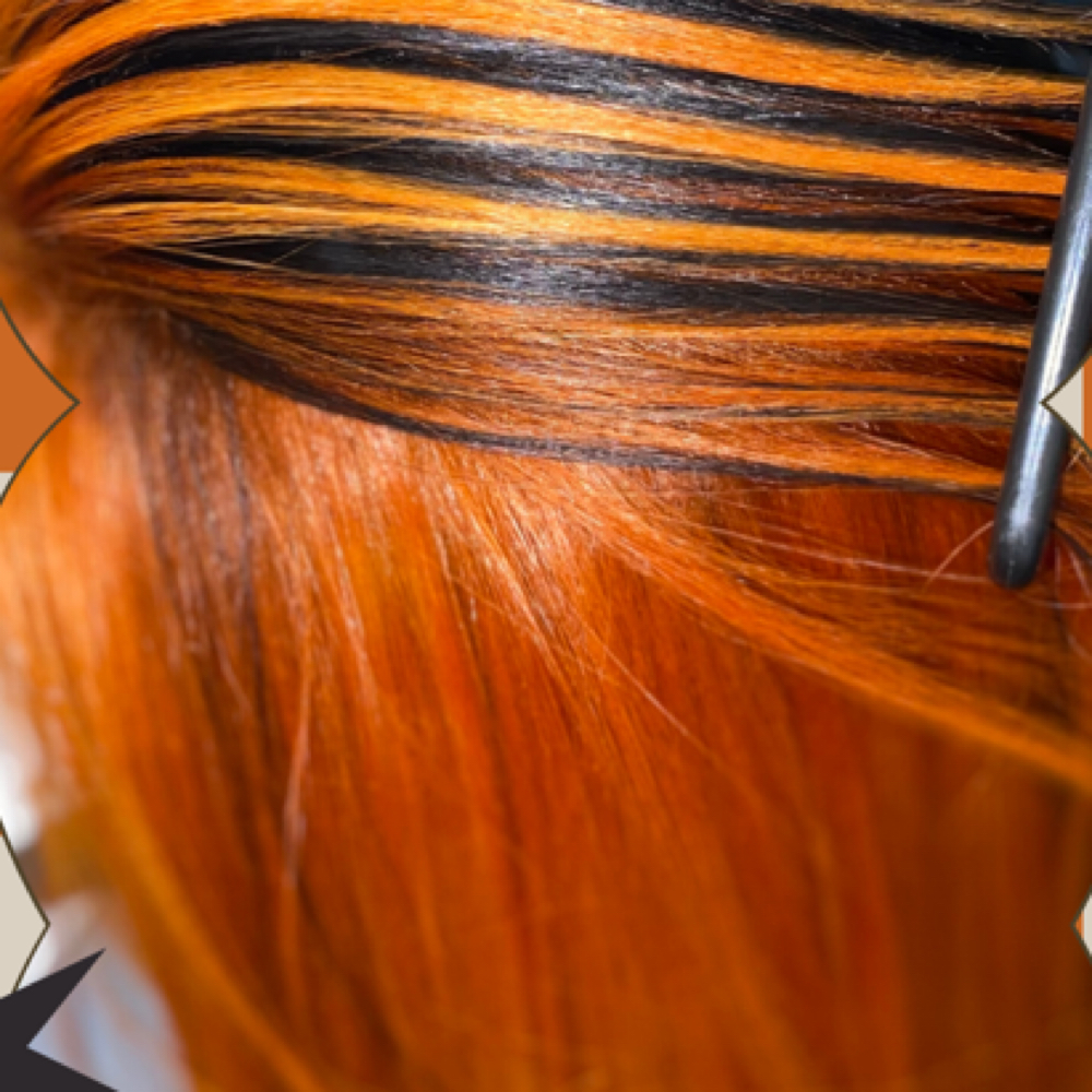 Color at Sanchize Hairstylz in Mobile, AL