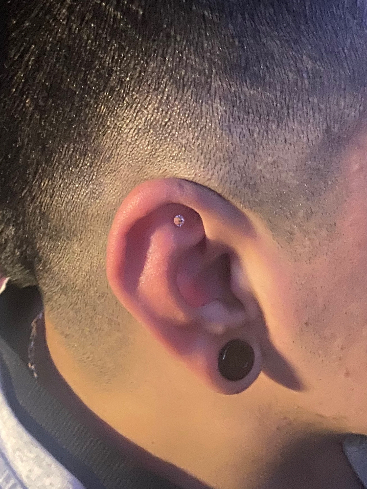 Ear Seeds Shen-Men Introduction