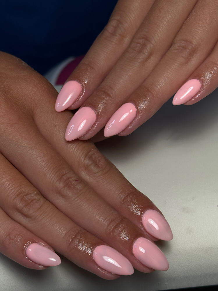 Fill+ Plain Color