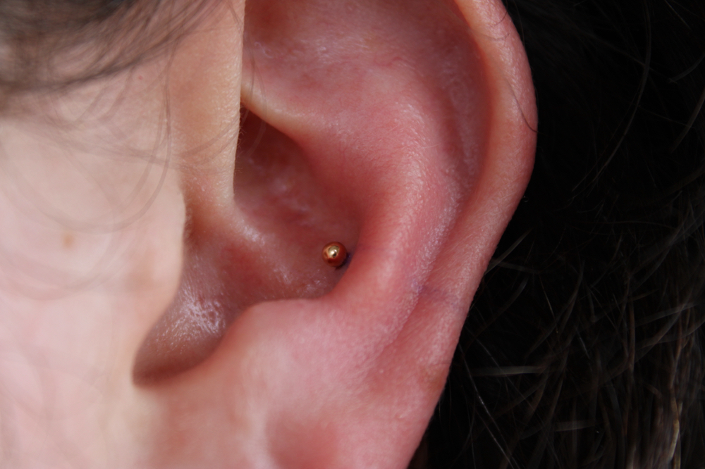 Conch Piercing (Age 14+) at Inferno Body Arts in Madison, WI