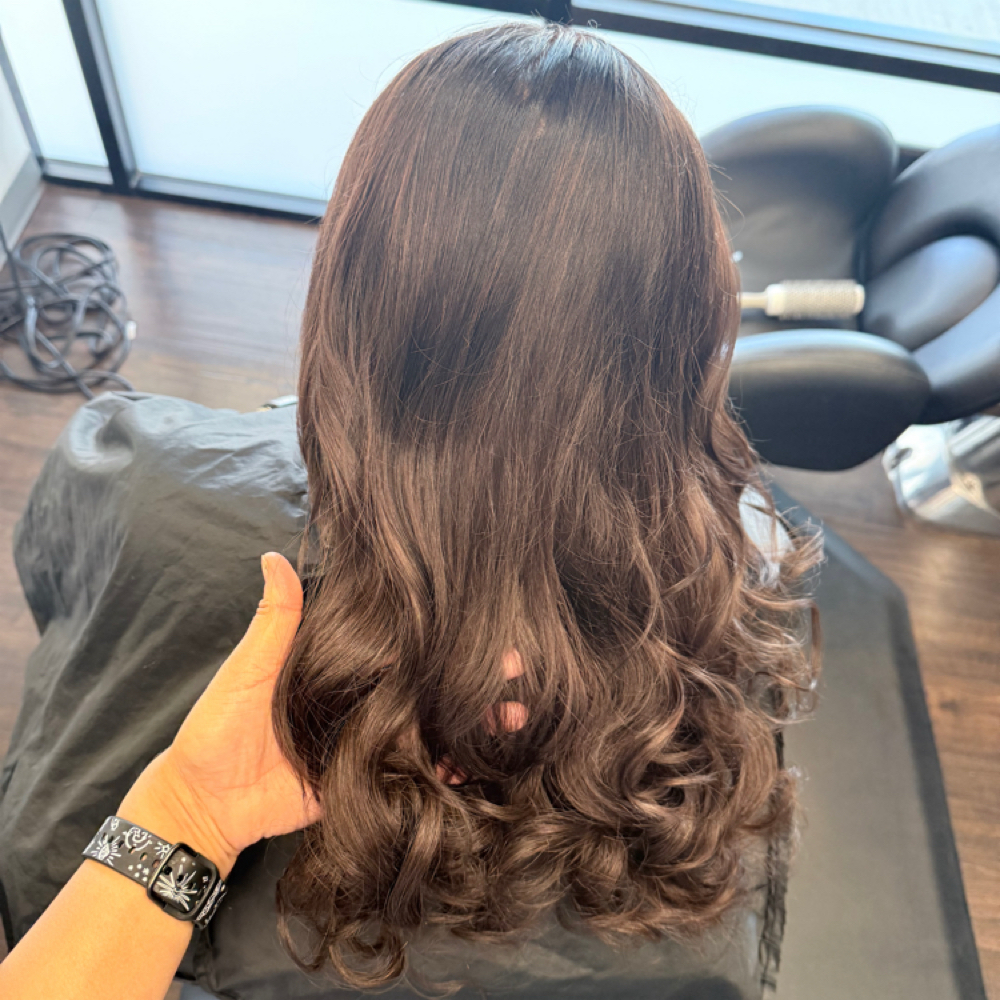 Roots w/ gloss cut, treat,blowout at TrendzbyJennan in Lakemary, FL