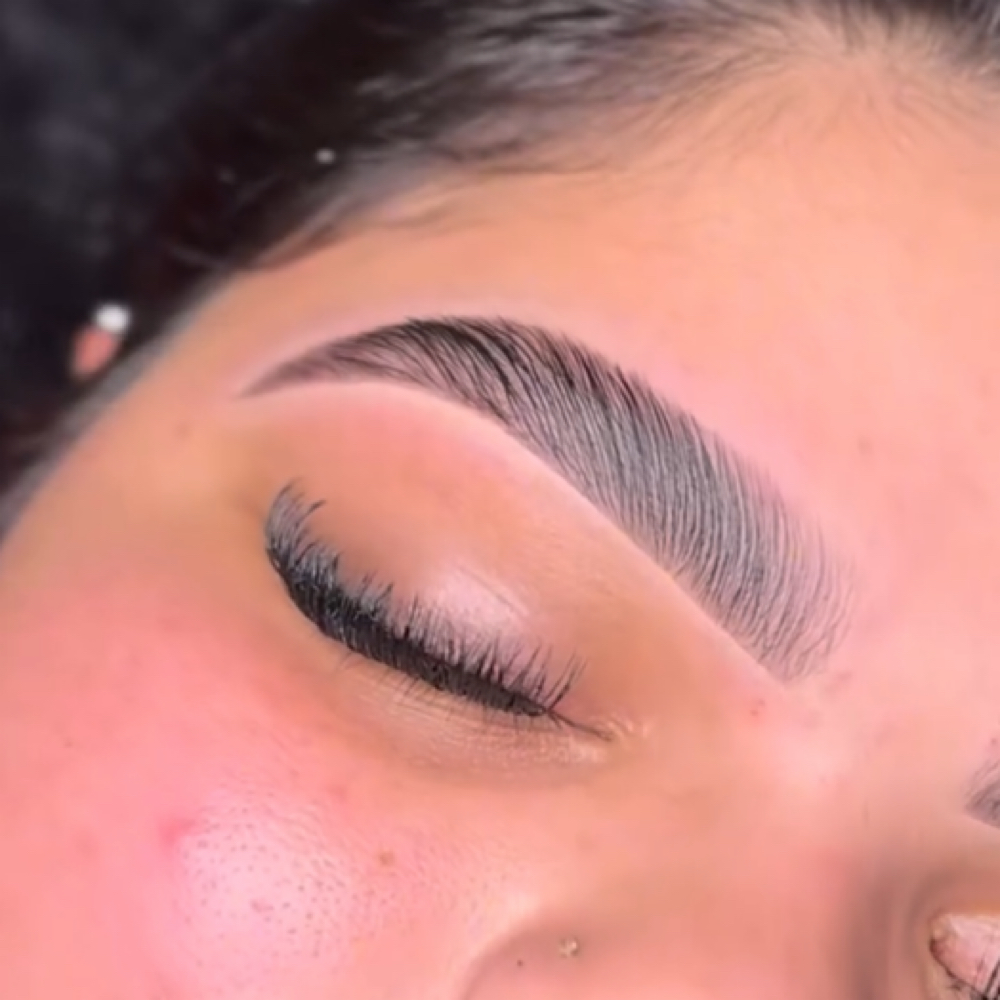 Brow Lami at Cam Cosmetics in Chicago, IL