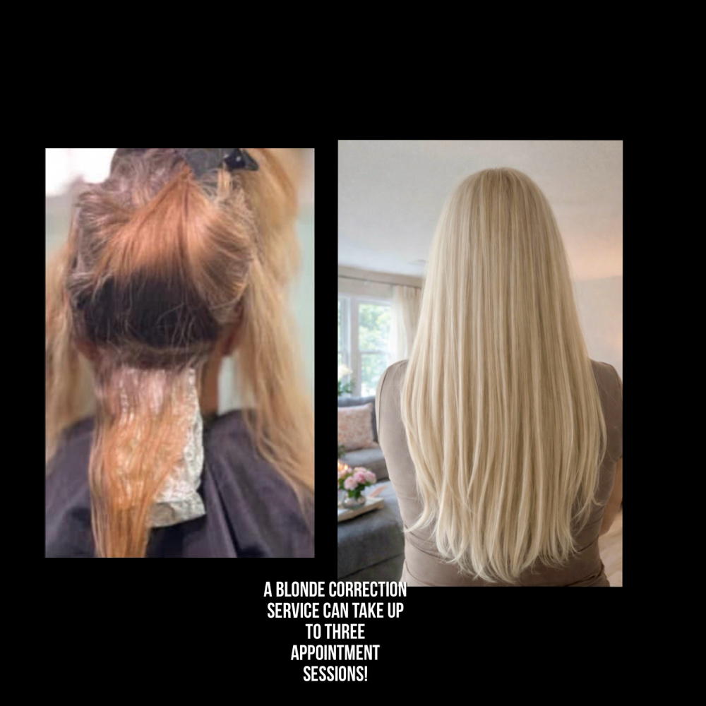 Blonding Correction Service. at Studio N Salon in Fort Smith, AR