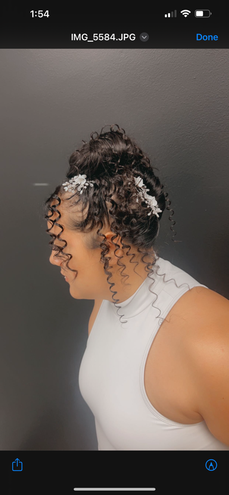 Free Style Up Do w/ Added Hair