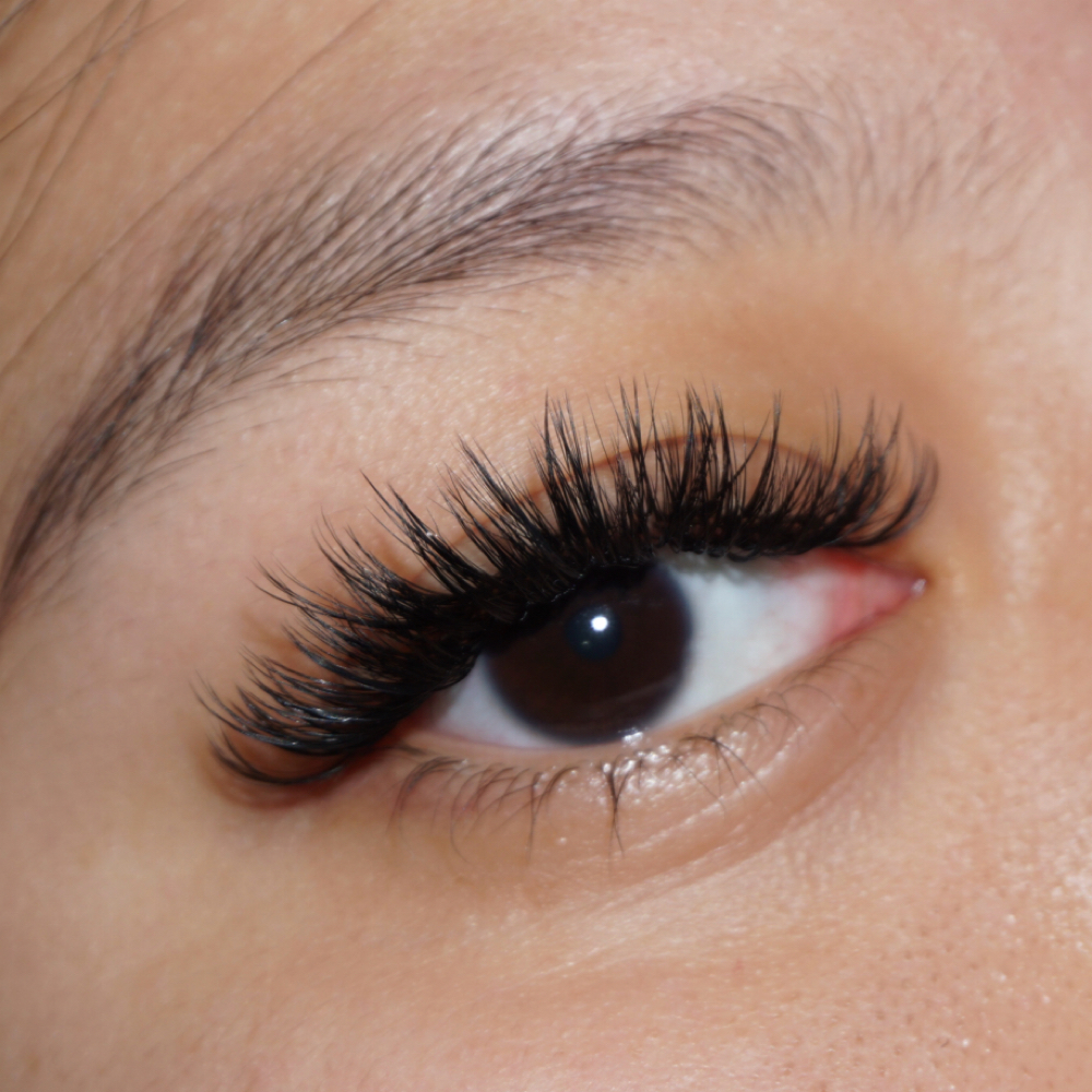 Volume Full Set at Lux Lash and Brow in Mansfield, TX