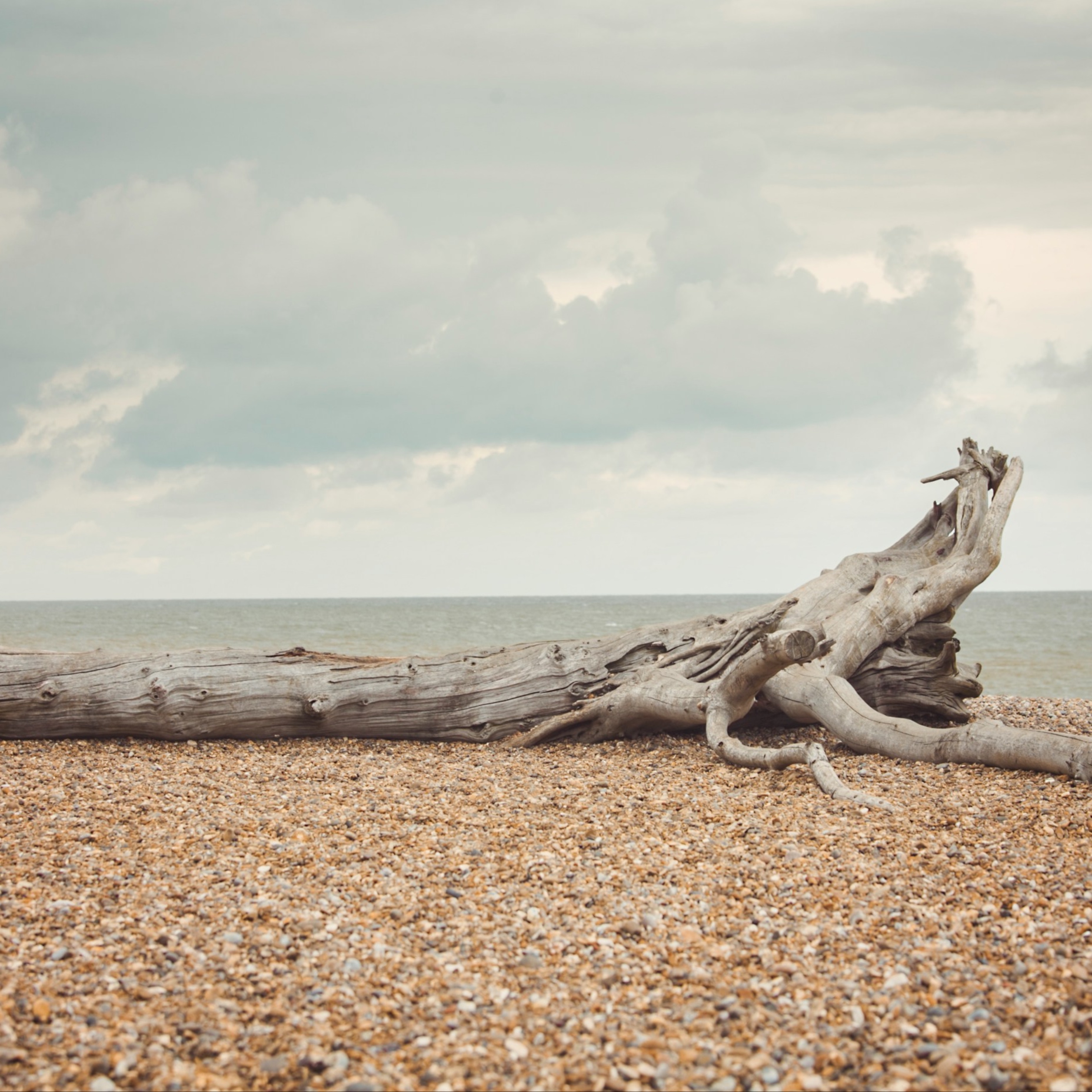 Drift Massage at Blue Wellness Studio, LLC in Pacific City, OR
