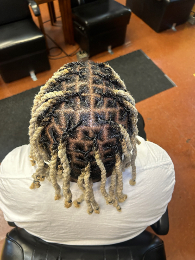 2strandtwist Just Top Of Head