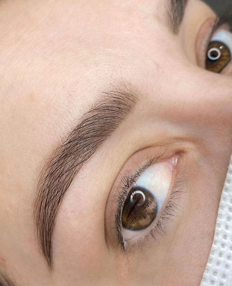 Brow Tint Infusion