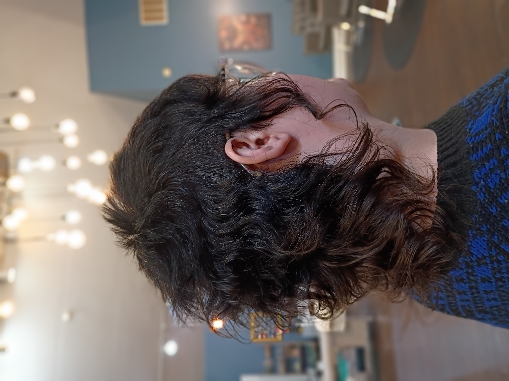 The Metamorphosis Cut