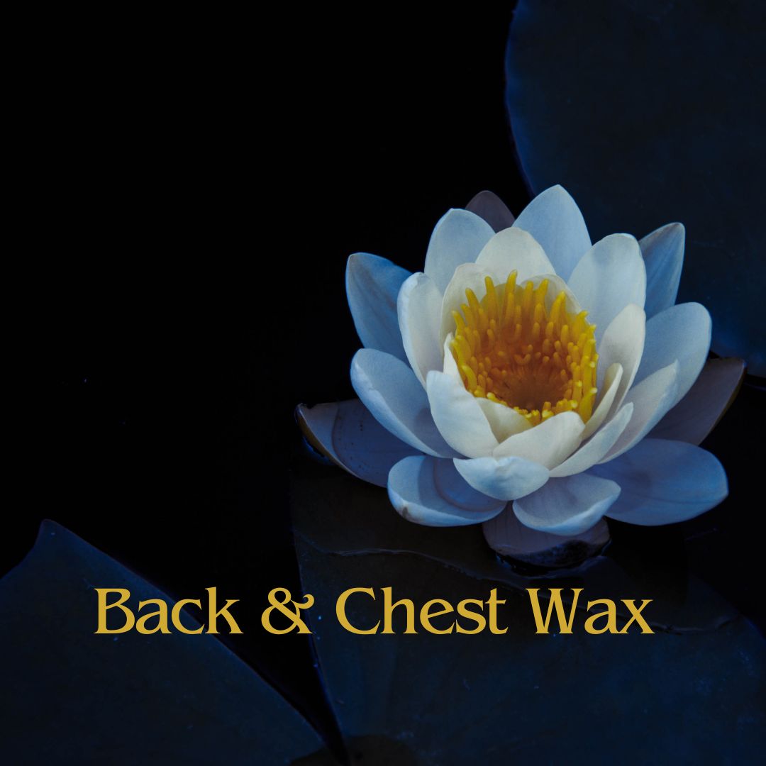 Back & Chest Wax at Blue Lotus Beauty Spa in Sheboygan, WI