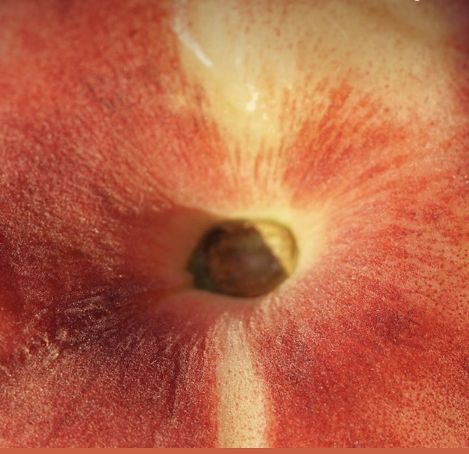 Anal Strip (Male) at VelvetTouchBy: Laura ✨ in Boise, ID