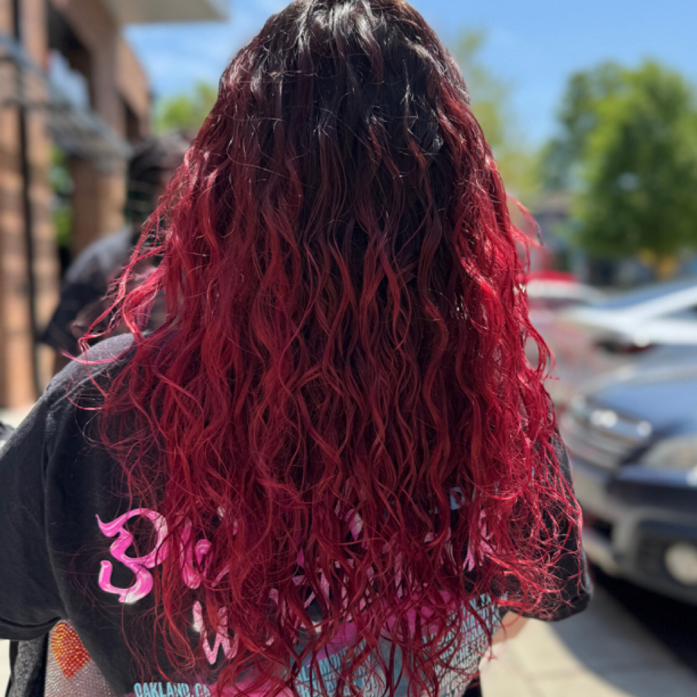 All Over Color+ Hairline Foil+ Styl at Hidden Beauty Studios in Charlotte, NC