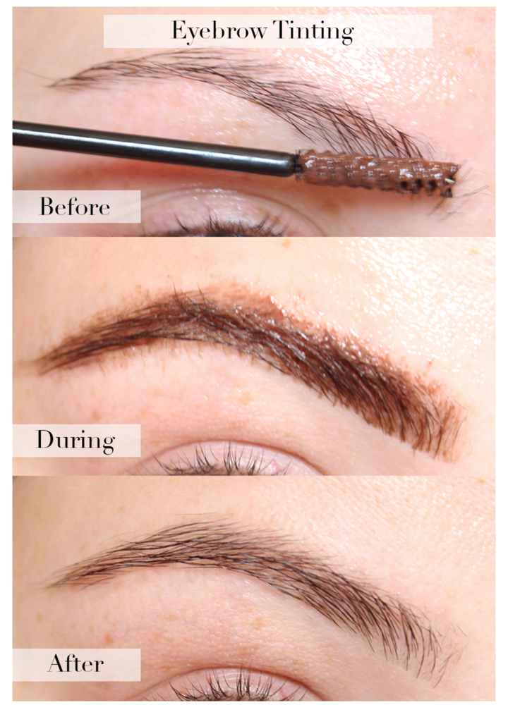 Eyebrow Tint