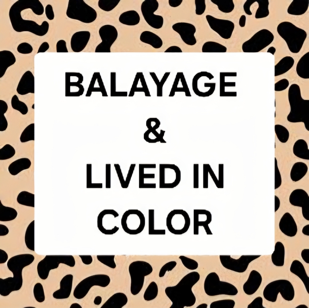 Balayage/Lived In Color ($385) at WILDCAT HAIR STUDIO in San Diego, CA