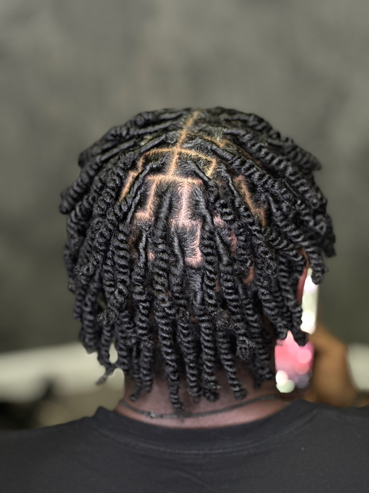 Starter Locs